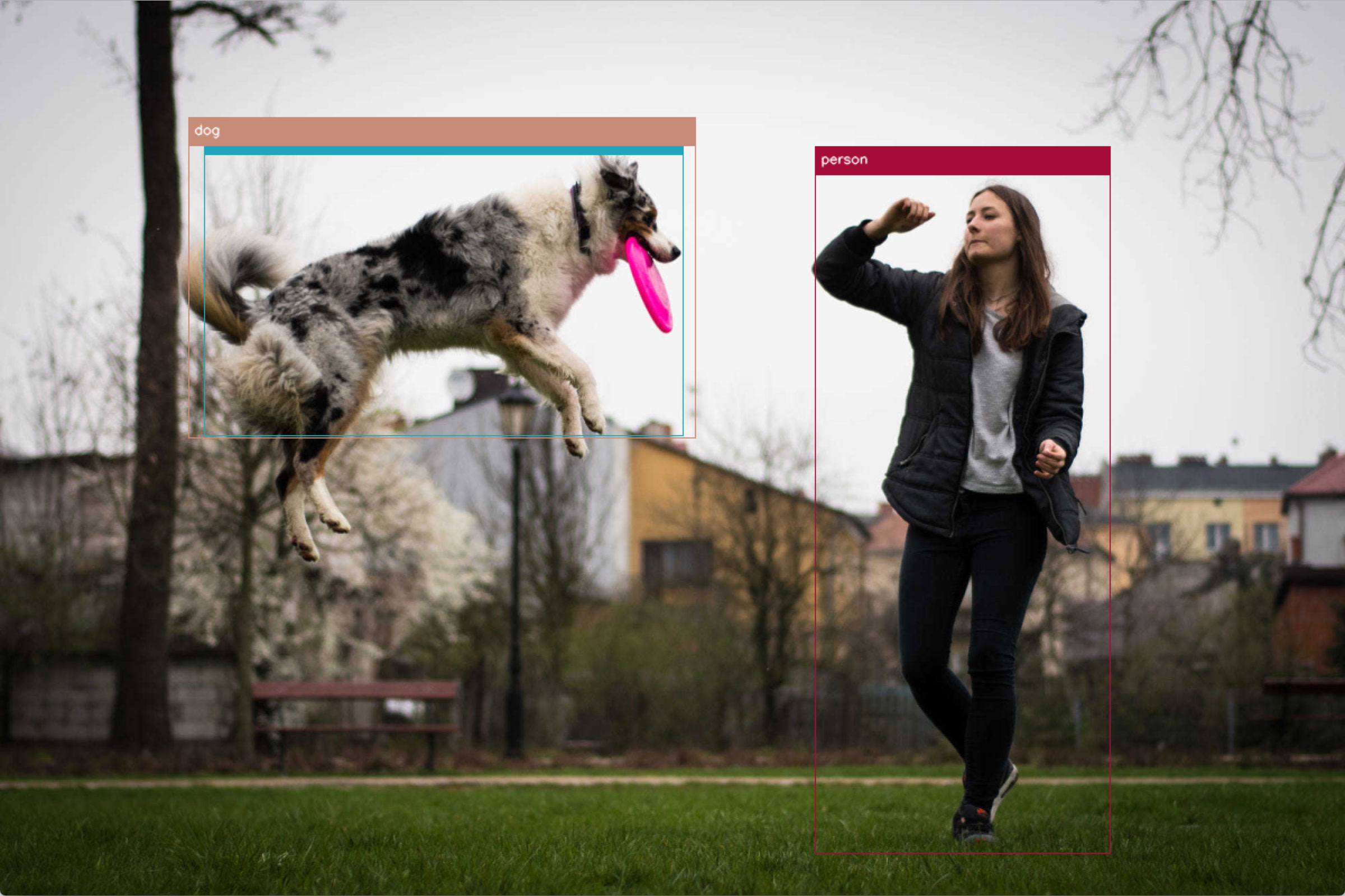 Computer Vision - Person with dog